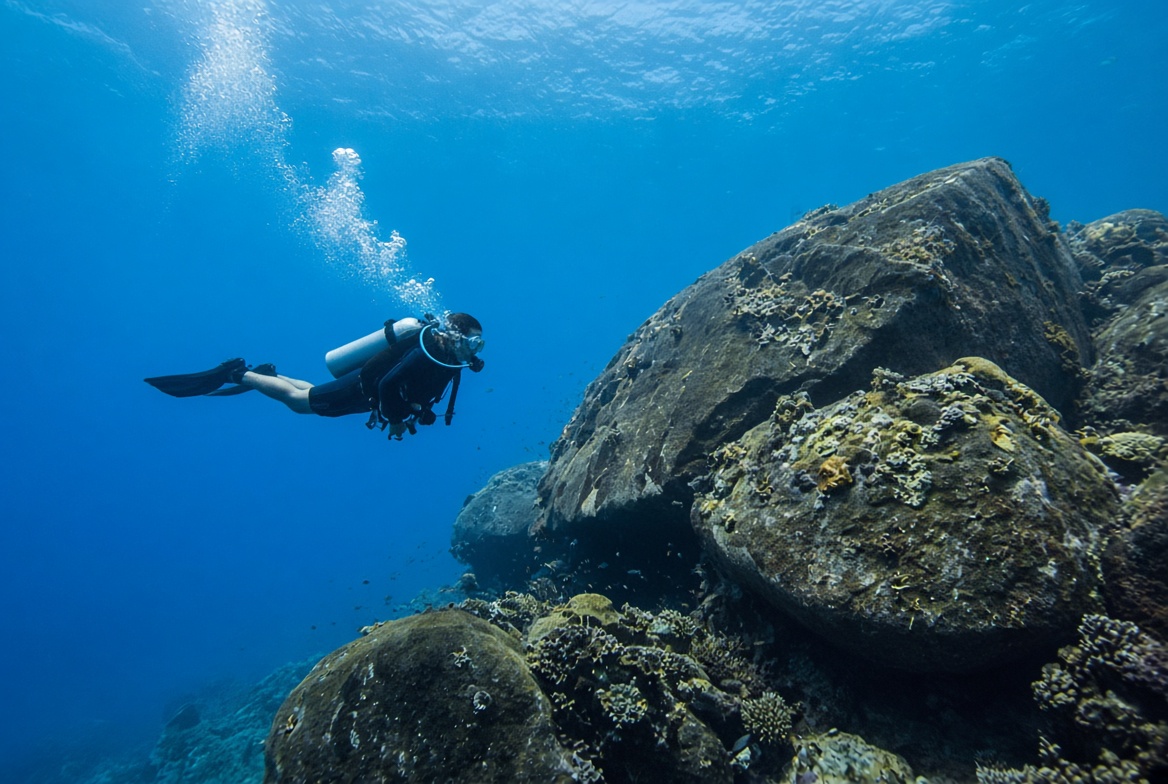 Similan Diving Day Trip or Liveaboard Khao Lak