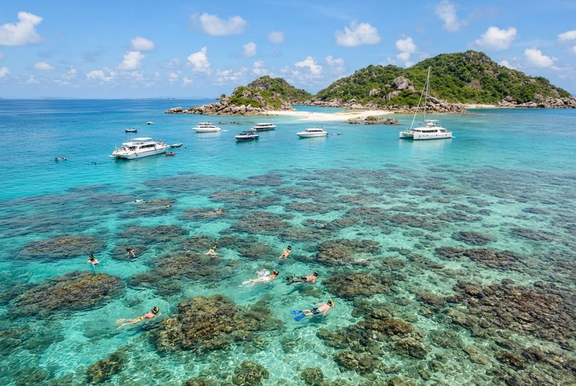 Koh Tao & Koh Nang Yuan Snorkelling Koh Phangan