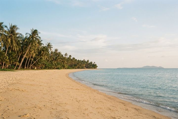 Maenam