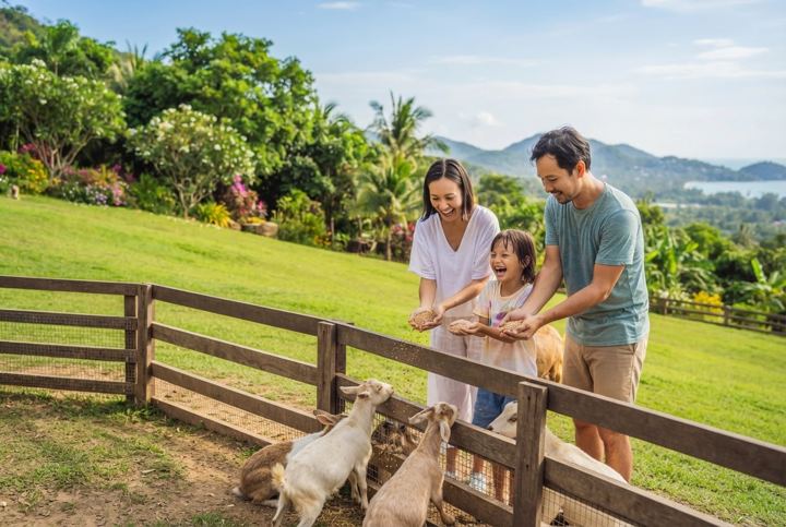 Paradise Park Farm Koh Samui