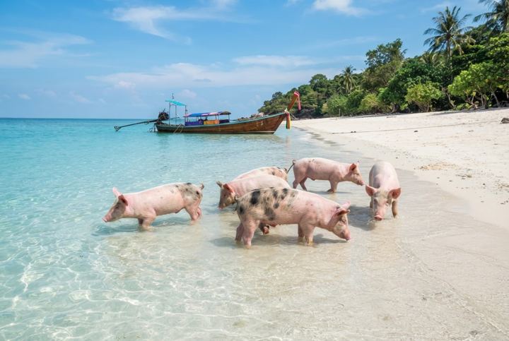 Koh Madsum & Koh Tan from Koh Samui