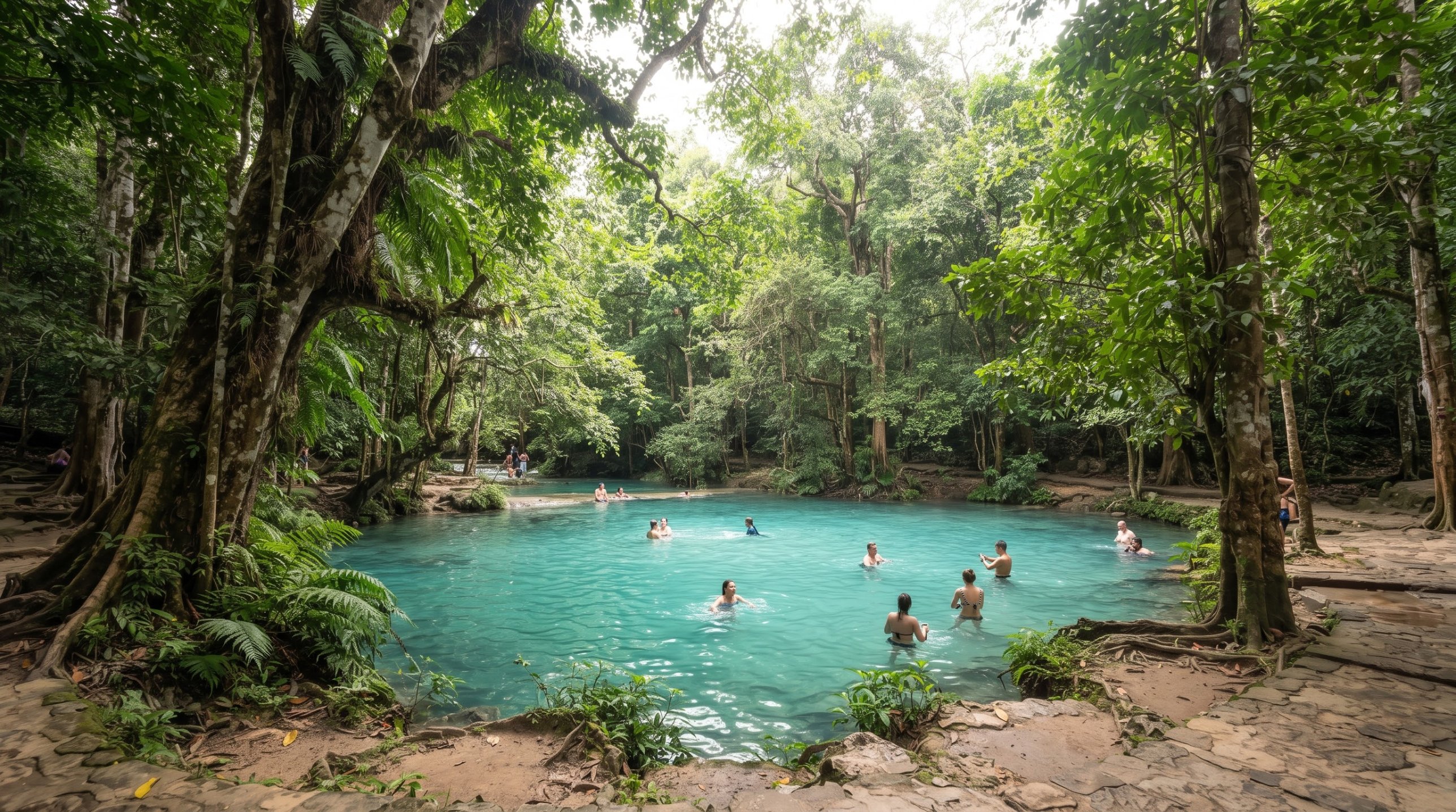 Emerald Pool & Hot Springs Krabi