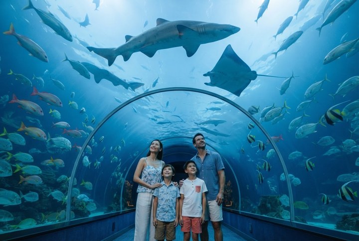 Aquaria Phuket aquarium